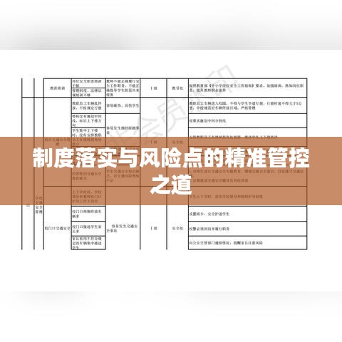 制度落实与风险点的精准管控之道