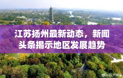 江苏扬州最新动态，新闻头条揭示地区发展趋势