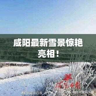 咸阳最新雪景惊艳亮相！