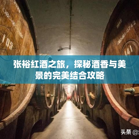 张裕红酒之旅，探秘酒香与美景的完美结合攻略