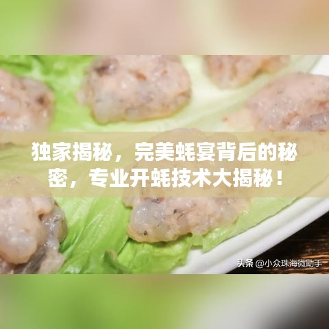 独家揭秘，完美蚝宴背后的秘密，专业开蚝技术大揭秘！