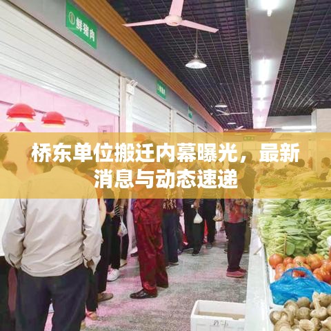 桥东单位搬迁内幕曝光，最新消息与动态速递