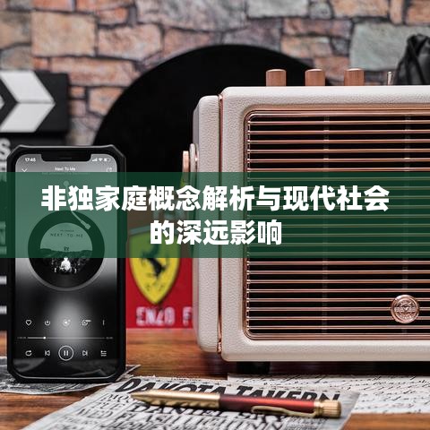 非独家庭概念解析与现代社会的深远影响