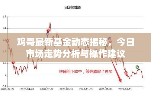 鸡哥最新基金动态揭秘，今日市场走势分析与操作建议