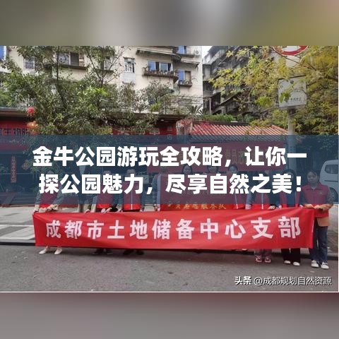 金牛公园游玩全攻略，让你一探公园魅力，尽享自然之美！