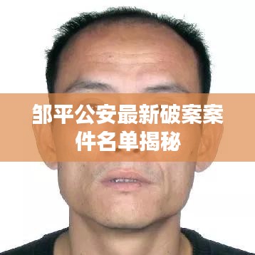 邹平公安最新破案案件名单揭秘