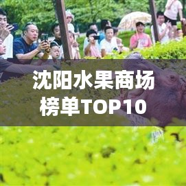 沈阳水果商场榜单TOP10，热门商场大揭秘！