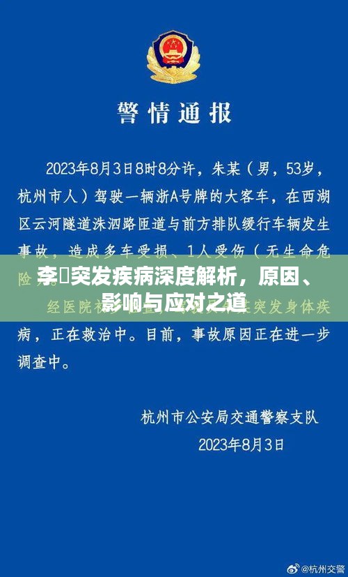 李翀突发疾病深度解析，原因、影响与应对之道