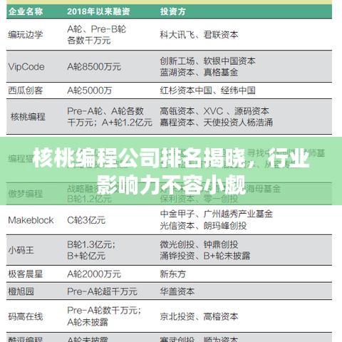 核桃编程公司排名揭晓，行业影响力不容小觑