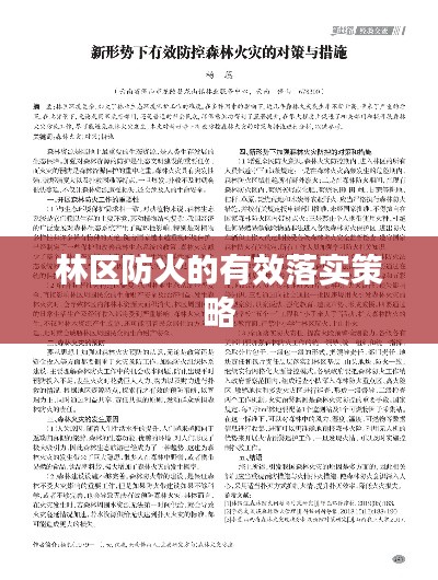 林区防火的有效落实策略