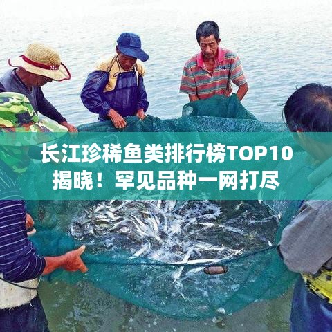 长江珍稀鱼类排行榜TOP10揭晓！罕见品种一网打尽