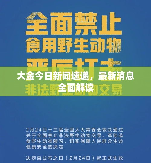 大金今日新闻速递，最新消息全面解读