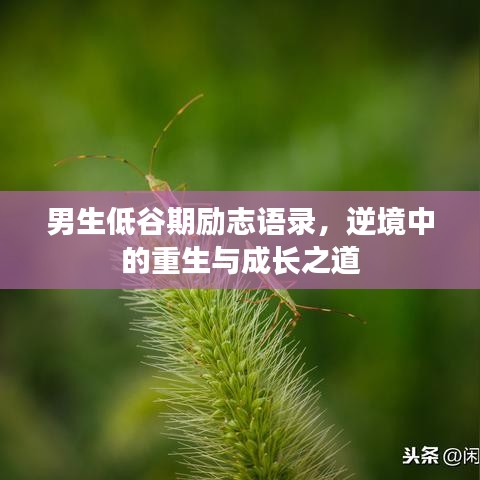 男生低谷期励志语录，逆境中的重生与成长之道