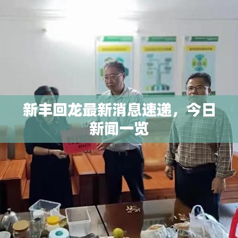 新丰回龙最新消息速递，今日新闻一览