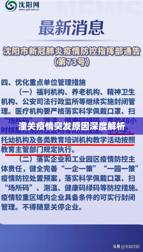 潼关疫情突发原因深度解析