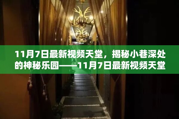 揭秘小巷深处的神秘乐园，探索未知领域的危险与警示