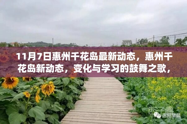 惠州千花岛新动态，变化鼓舞之歌，提升自信与成就感的启示之旅