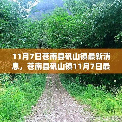 苍南县矾山镇最新消息获取全攻略，轻松掌握最新资讯的步骤指南