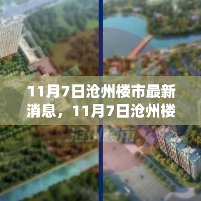 11月7日沧州楼市最新动态及市场走势解析，热门楼盘与行业洞察