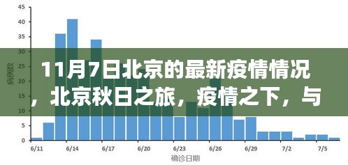 北京秋日疫情下的宁静港湾，与自然共舞寻找内心安宁