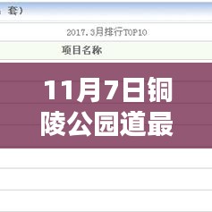 11月7日铜陵公园道房产最新房价深度解析与综合评测报告