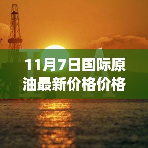 11月7日国际原油最新价格详解，初学者与进阶用户查询指南