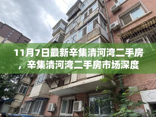 辛集清河湾二手房市场深度评测，最新房源特性与体验解析报告发布（最新深度解析）