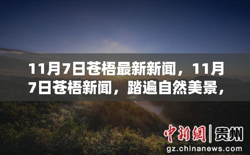 11月7日苍梧新闻热点，踏遍自然美景，探寻内心宁静的乐园