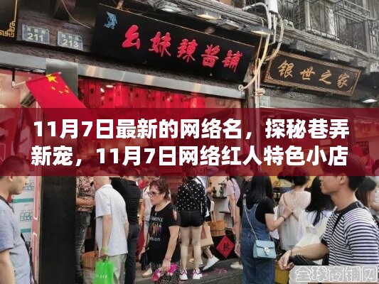 探秘巷弄新星，揭秘网络红人特色小店，11月7日最新潮流指南