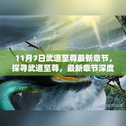 武道至尊最新章节深度解析，探寻武道巅峰之路（11月7日更新）