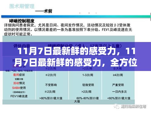 11月7日最新感受力，全方位指南助你掌握新技能与感受力提升的魅力体验