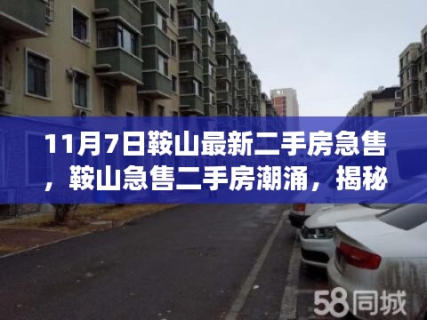 揭秘鞍山急售二手房潮涌背后的故事与影响，最新房源紧急出售，十一月七日市场动态分析