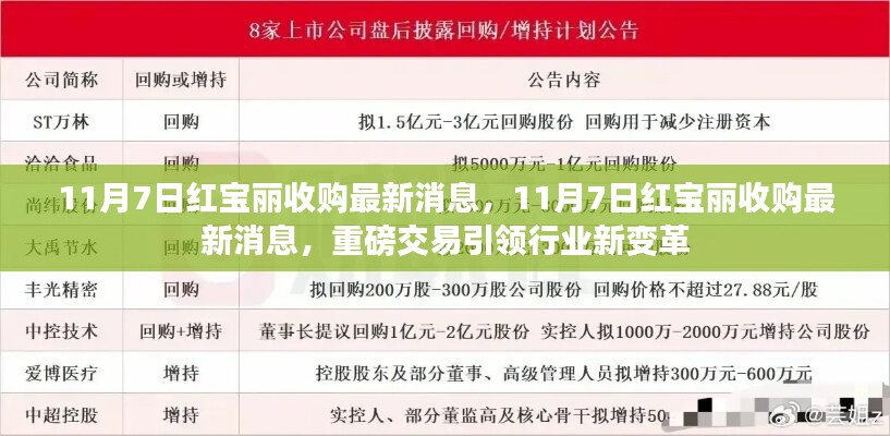 重磅！红宝丽收购最新消息揭秘，引领行业新变革！