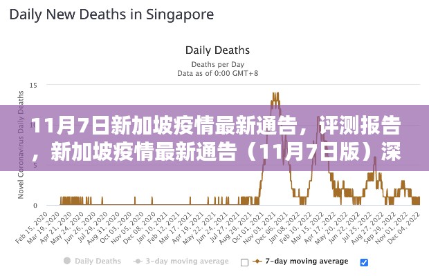 新加坡疫情最新通告（深度解析版）评测报告出炉，疫情动态与应对策略分析