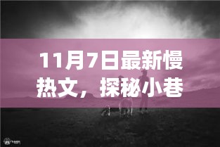 独家揭秘，慢热奇缘特色小店之旅（11月7日探秘小巷深处）