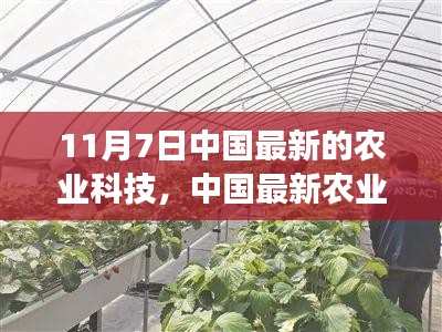 中国最新农业科技进展，观察与思考（11月7日版）