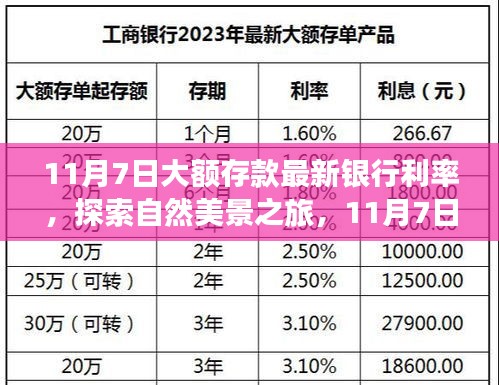 11月7日大额存款利率更新，探索最佳银行利率，心灵与自然之旅的宁静平和探索