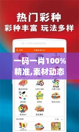 一码一肖100%精准,素材动态方案解答_自助版AUX675.92