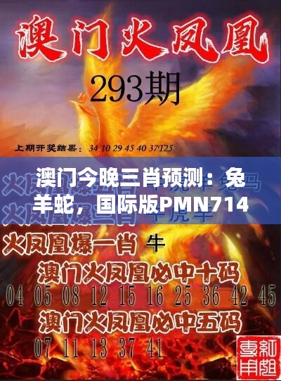 澳门今晚三肖预测：兔羊蛇，国际版PMN714.9深度解析策略