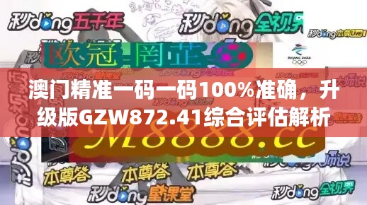 澳门精准一码一码100%准确，升级版GZW872.41综合评估解析