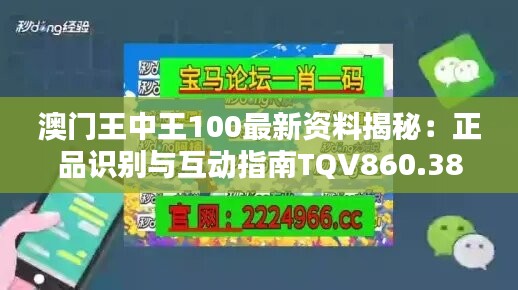 澳门王中王100最新资料揭秘：正品识别与互动指南TQV860.38