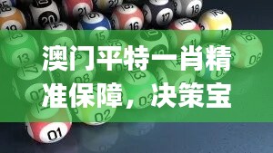 澳门平特一肖精准保障，决策宝典实证推荐_资源版BVO396.85