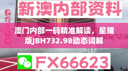 澳门内部一码精准解读，星耀版JBH732.98动态词解