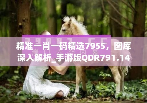 精准一肖一码精选7955，图库深入解析_手游版QDR791.14