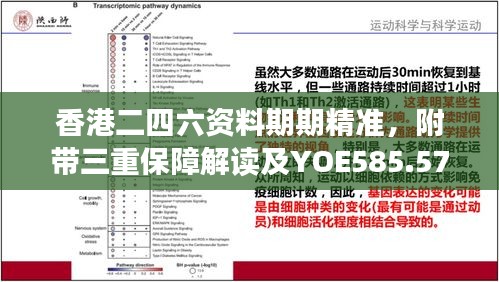 香港二四六资料期期精准，附带三重保障解读及YOE585.57预测版新释