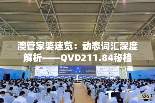 澳管家婆速览：动态词汇深度解析——QVD211.84秘档