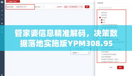 管家婆信息精准解码，决策数据落地实施版YPM308.95