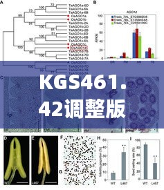 KGS461.42调整版精准跑狗图，最新研究解读