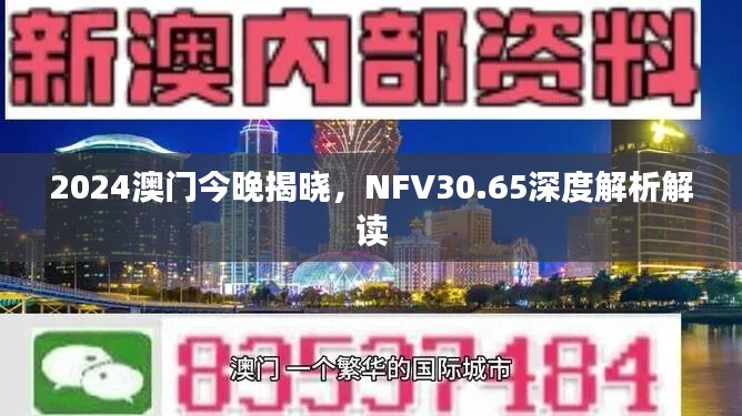 2024澳门今晚揭晓，NFV30.65深度解析解读