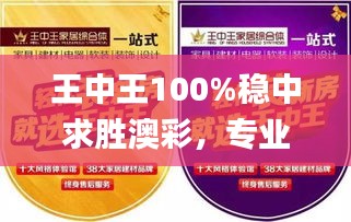 王中王100%稳中求胜澳彩，专业操作答疑_互动版QGN345.52